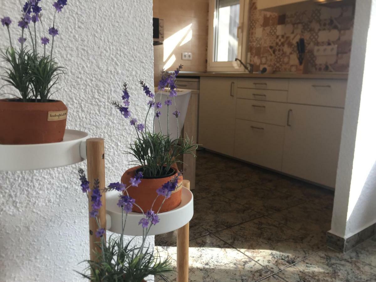Casa vacanze Casa Llurgo Deltebre